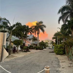 Meet your Posher, Ava